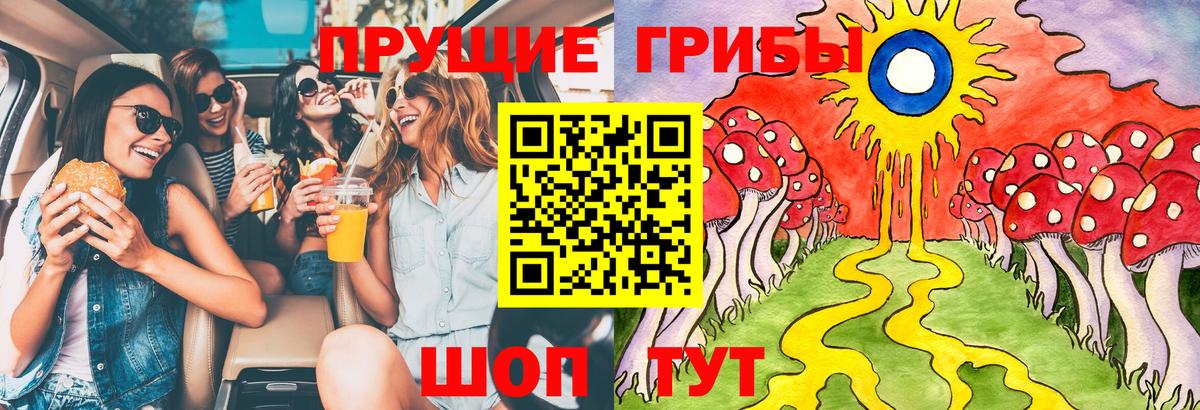 Псилоцибиновые грибы GOLDEN TEACHER Горячий Ключ